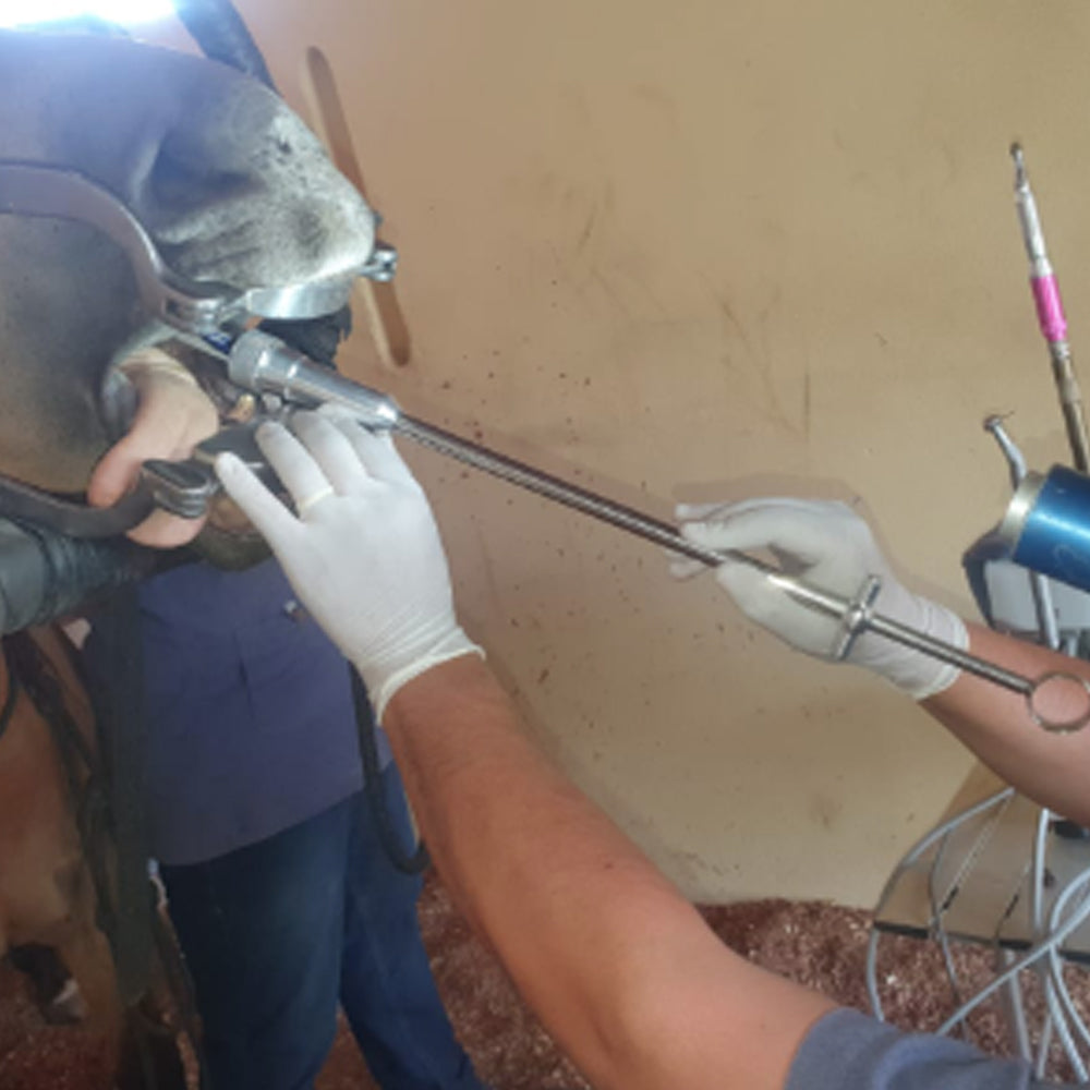 Applicator/Extender/Dispenser for Resin and Other Medications