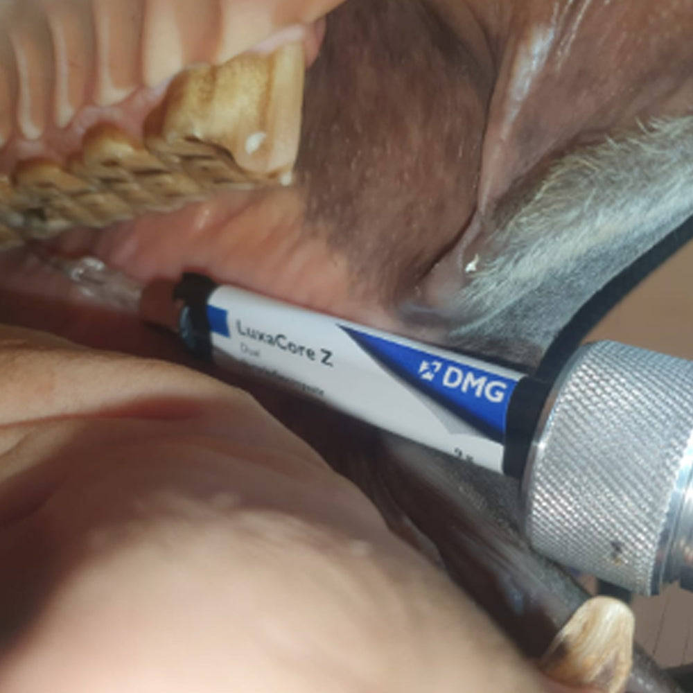 Applicator/Extender/Dispenser for Resin and Other Medications