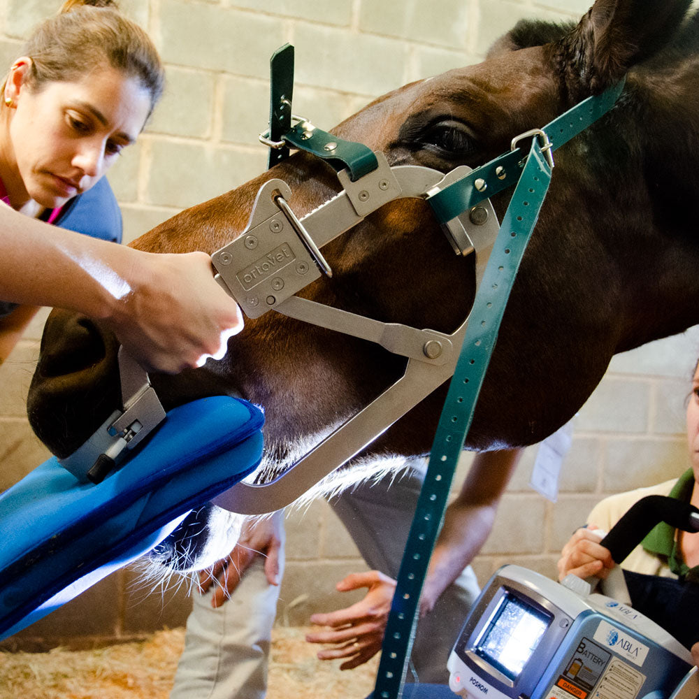BT Radiolucent X-ray Plates