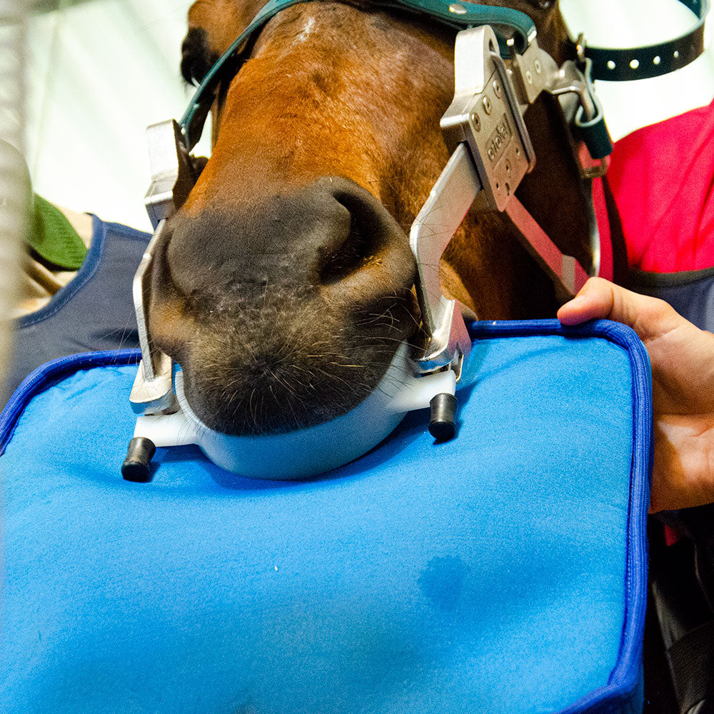 BT Radiolucent X-ray Plates