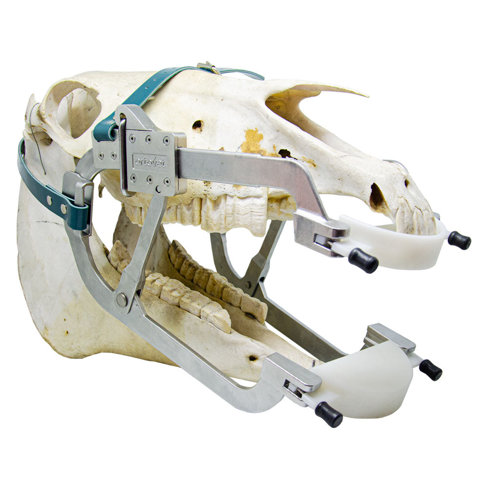 BT Radiolucent X-ray Plates
